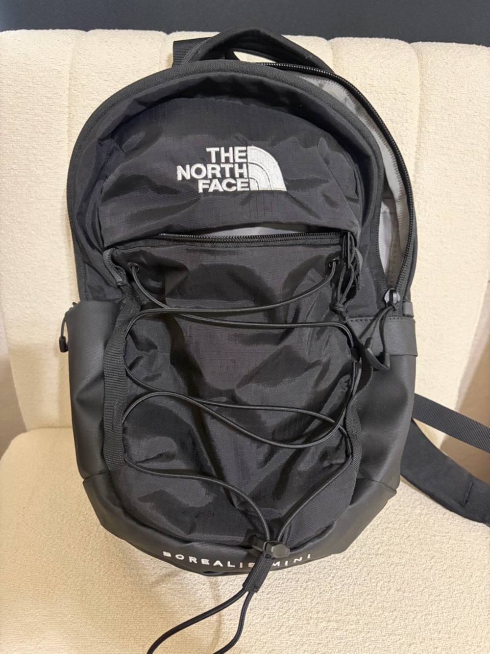 The North Face Borealis Mini 10L Backpack Black Bungee Small Everyday Bag